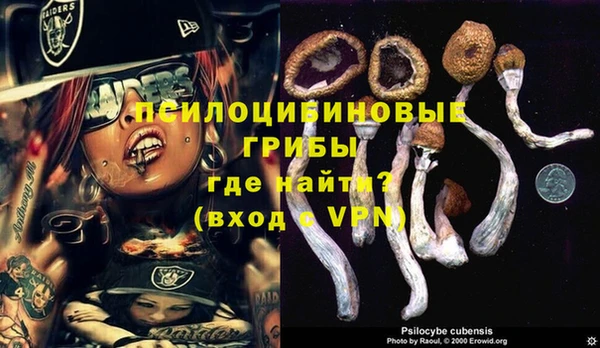 таблы Липки