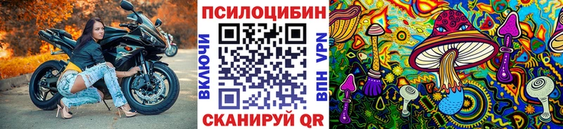 как найти наркотики  Собинка  Псилоцибиновые грибы Psilocybe 